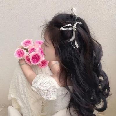 再见了,亲爱的总统